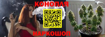 СК Заводоуковск