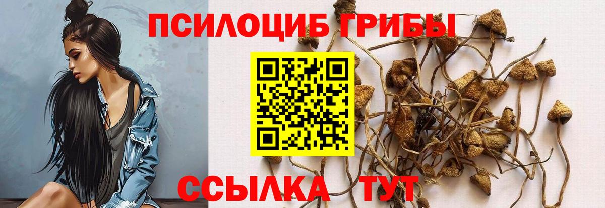 Мелеуз  Галлюциногенные грибы Cubensis  Вход с VPN 